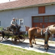 T�mhle se d��ve hasilo.