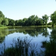 Doln� pornick� rybn�k