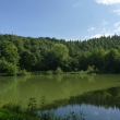 Opatovsk� rybn�k (zadn�)