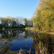 Mal� morkovick� rybn�k