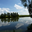rybn�k Han�