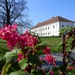 Kaple sv. Anny Zborovice
