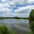 �ele�sk� rybn�k